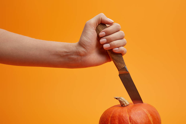 cropped shot of person holding knife and cutting ripe pumpkin isolated on orange  - Photo, Image