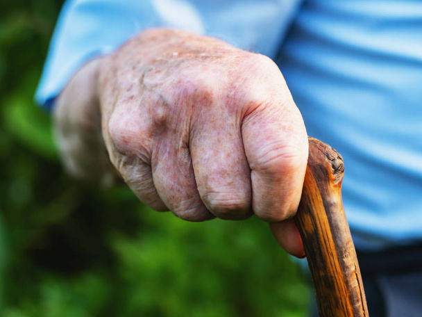 wrinkled old man hands crossed on the stick. Close-up of a pensive grandfather sitting alone outdoors and rests on a cane. - Photo, image