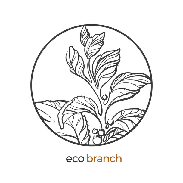 Vektor virág természet ág, levél, virág, berry jelképe. Botanikai művészeti vonalas rajz design kör. Reális kerek keret Eco trópusi növény növény logó grafikai vázlat gyógynövény ökológiai illusztráció  - Vektor, kép