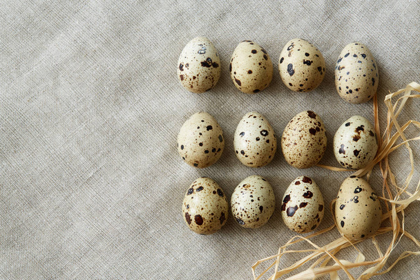 Top flatview view of some rows of quail eggs on linen fablic background. Concept of healthy nutritions and natural cuisine - Photo, Image