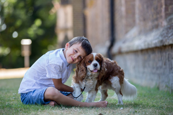 Beaugtiful preschool children, playing with sweet dog in the park, summertime - Fotoğraf, Görsel