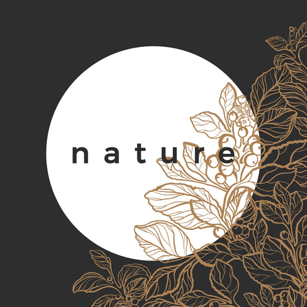 Modern packaging template with texture for luxury product. Art deco single line design organic food. Nature card of mate branch with sketch of leaf, flower. Trendy chic vector. Retro gold floral card  - Vector, imagen