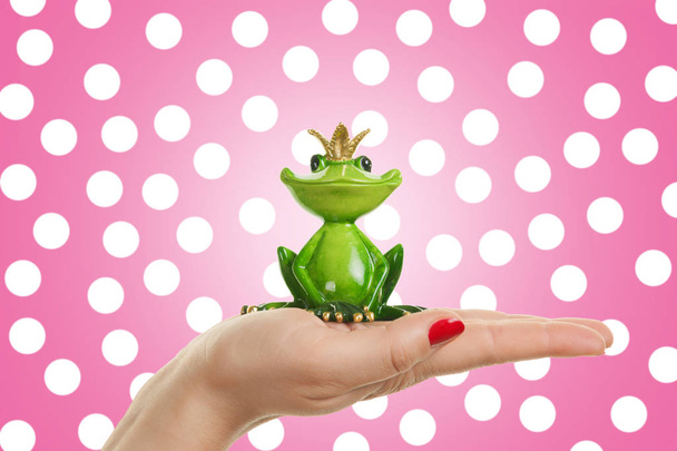 Female hand is holding frog prince, concept for dating, love and valentines day - Foto, Bild