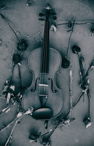 die abstrakte Kunst Design Hintergrund der klassischen Geige auf Holzbrett gelegt, viel getrocknete Blume, Vintage-und Art-Stil, Schwarz-Weiß-Ton, - Foto, Bild