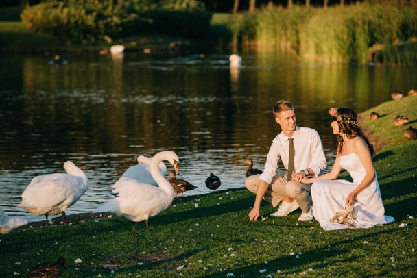 happy young wedding couple feeding swans and smiling each other in park  - Photo, Image