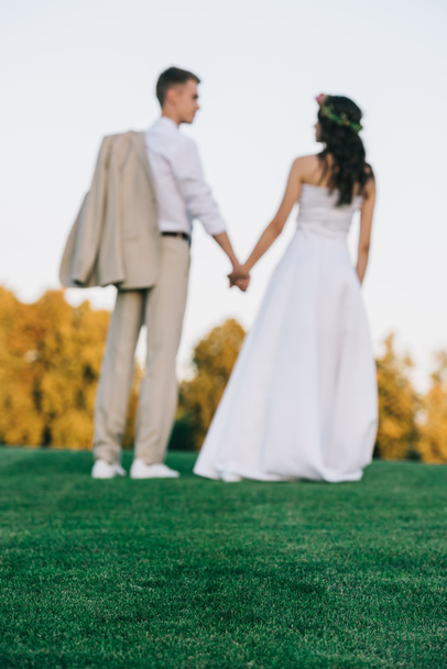 back view of young wedding couple holding hands and standing on green lawn  - Fotografie, Obrázek