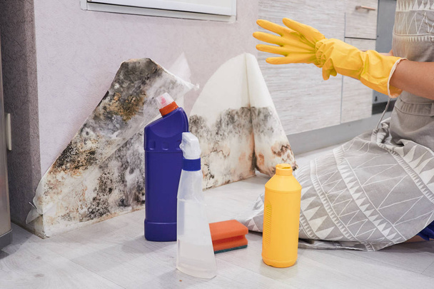 Рукавички для миття рукавичок Цвіль зі стіни з губкою та пляшкою для розпилення
 - Фото, зображення