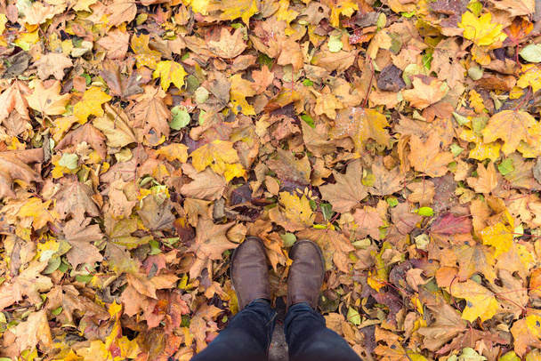 Overhead shot of man standing on autumn leaves - Photo, Image