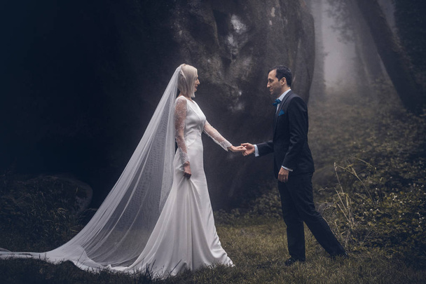 Υπέροχο ζευγάρι νεόνυμφων - νύφη και το γαμπρό σε ένα όμορφο μυστήριο δάσος με την καταπληκτική φθινόπωρο ομίχλη. - Φωτογραφία, εικόνα
