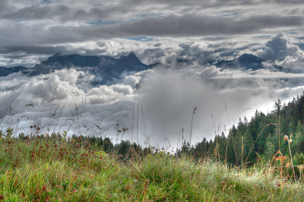 Berglandschaft versteckt in spektakulärer Wolkenlandschaft mit Wildblumenwiese und Wald im Vordergrund - Foto, Bild