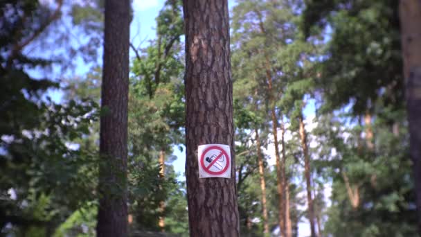 Nem dohányzó jel zöld területen - Felvétel, videó
