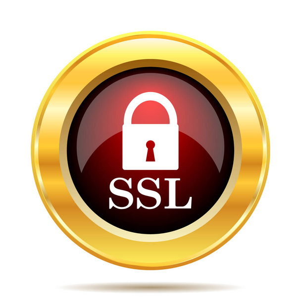 Icona SSL. Pulsante Internet su sfondo bianco
 - Foto, immagini