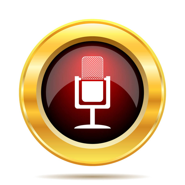 Microphone icon. Internet button on white background - Photo, Image
