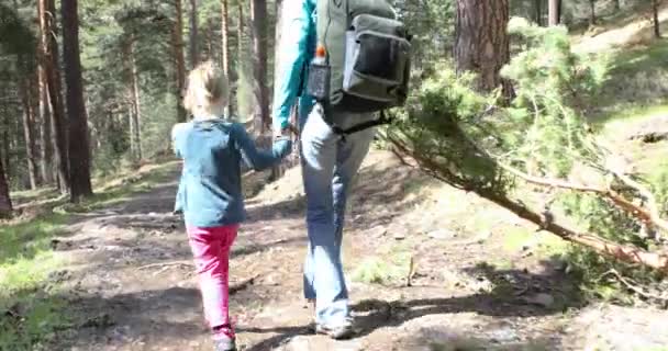 4k video. Four years age blonde girl holding hand to her mother, hiking or walking in forest in the countryside of Guadarrama mountains, Madrid, Spain, Europe - Footage, Video