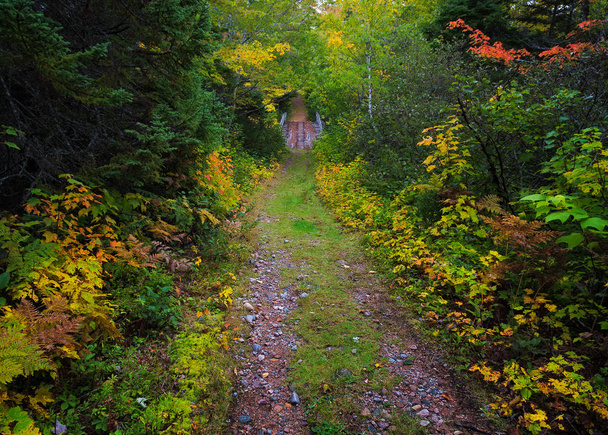 Un sentiero attraverso un bosco che conduce ad un ponte in Nuova Scozia in autunno
 - Foto, immagini