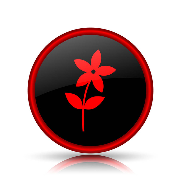 Flower  icon - Photo, Image