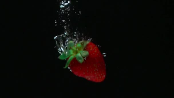 λήψη macro της φράουλας έρχονται μετά από ναυάγιο - Πλάνα, βίντεο