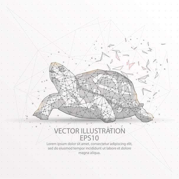Turtle abstract mesh line and composition digitally drawn starry sky or space in the form of broken a part triangle shape and scattered dots low poly wire frame. - Vector, imagen