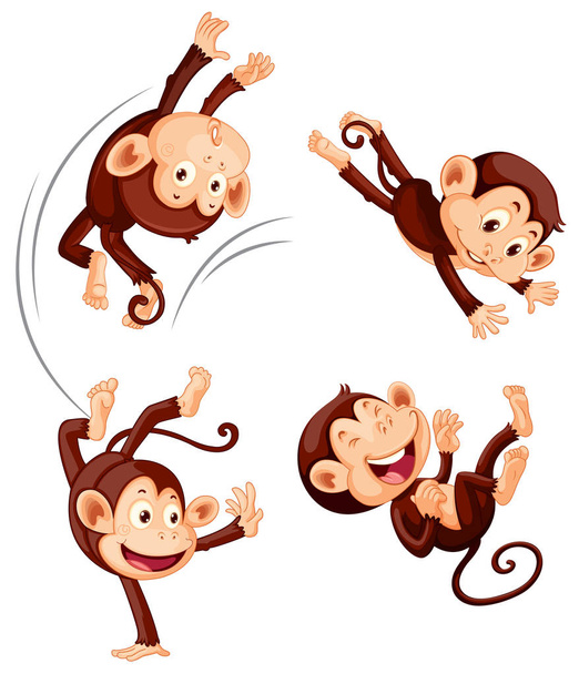 Ένα σύνολο από μαϊμού σε λευκό φόντο εικόνα - Διάνυσμα, εικόνα