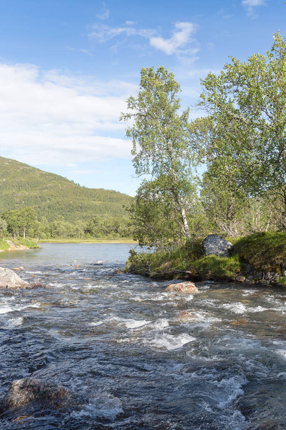 Bäume stehen am Ufer eines wilden Flusses mit Stromschnellen auf den Lofoten, Nordland, Norwegen - Foto, Bild