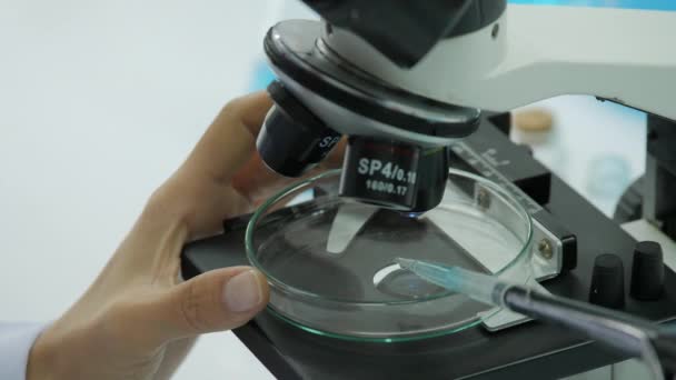 Researcher adding dropping liquid to petri dish. - Video, Çekim
