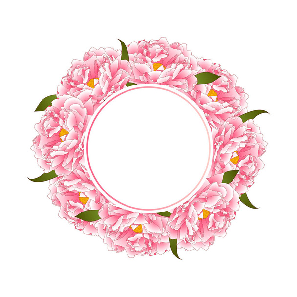 Pink Peony Flower Banner Wreath isolated on White Background. Vector Illustration. - Vector, Image