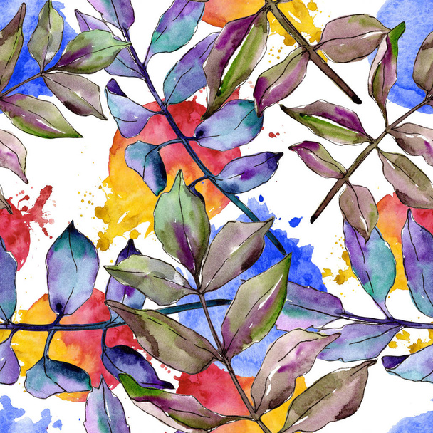 Φύλλα πράσινο τέφρας. Φύλλο φυτού Βοτανικός Κήπος floral φύλλωμα. Απρόσκοπτη υπόβαθρο μοτίβο. - Φωτογραφία, εικόνα