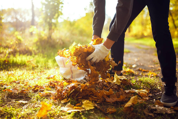 young boy cleans fallen leaves. concept of purity. autumn leaves. purity. Environment. otdoor. gloves on his hands. sunny weather. worker.volunteering, charity, cleaning, people and ecology concept. - Photo, Image
