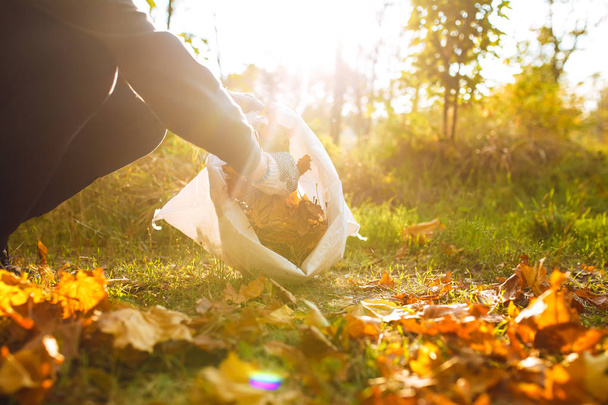 young boy cleans fallen leaves. concept of purity. autumn leaves. purity. Environment. otdoor. gloves on his hands. sunny weather. worker.volunteering, charity, cleaning, people and ecology concept. - Photo, Image