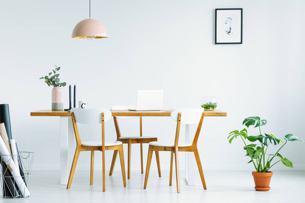 Pink lamp above wooden chairs at table in white interior with poster on the wall and plant. Real photo - Foto, Bild