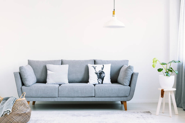 Grey lounge with two pillows in the real photo of white living room interior with fresh plant and empty wall with place for your painting - Fotoğraf, Görsel