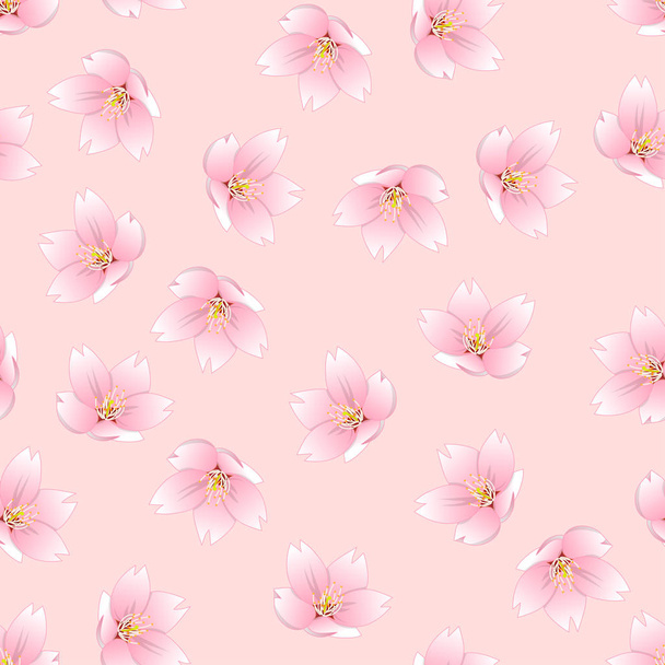 Prunus serrulata Outline - Cherry blossom, Sakura on Pink Background. Vector Illustration. - Vector, Image