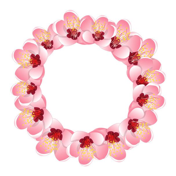 Momo Peach Flower Blossom Wreath. Vector Illustration. - Vector, Image