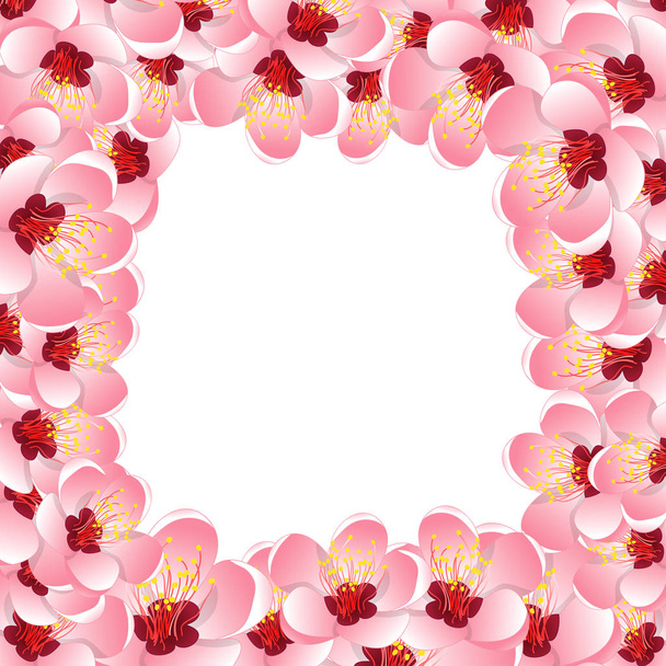 Momo Peach Flower Blossom Border Background. Vector Illustration. - Διάνυσμα, εικόνα