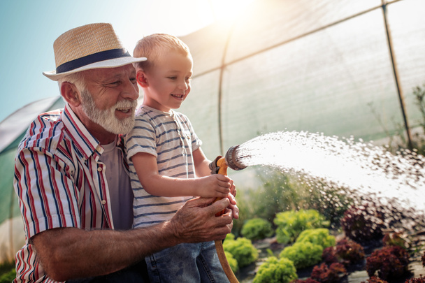 Großvater mit seinem Enkel, der im Garten arbeitet und Salate gießt. - Foto, Bild
