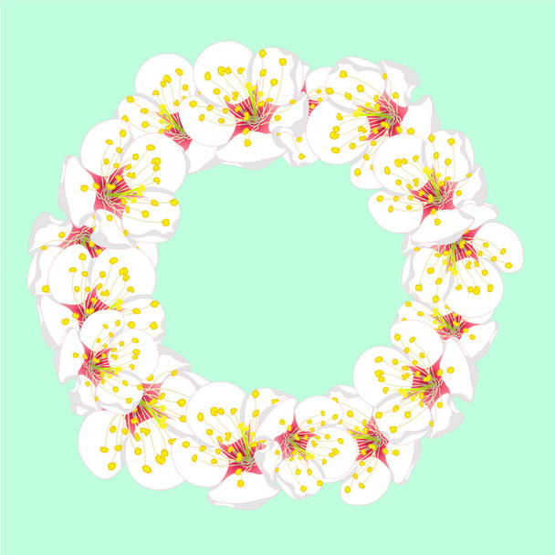 White Plum Blossom Flower Wreath isolated on Green Mint Background. Vector Illustration. - Vector, Imagen