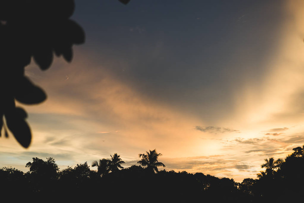 Copiez l'espace de silhouette de palmier tropical avec la lumière du soleil sur le ciel couchant et le fond abstrait nuage. Vacances d'été et voyage nature concept d'aventure. Style de couleur effet filtre ton vintage. - Photo, image