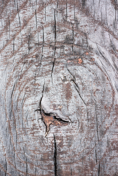 close-up view old grey weathered wooden background  - 写真・画像