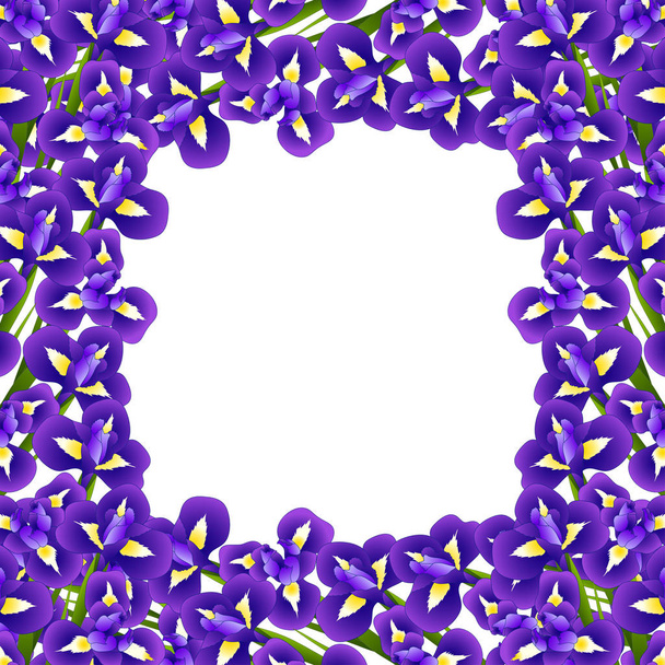 Iris Flower Border sobre fondo blanco. Ilustración vectorial
. - Vector, Imagen