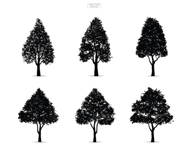Conjunto de siluetas de árbol aisladas sobre fondo blanco para el diseño del paisaje y composiciones arquitectónicas con fondos. Ilustración vectorial
. - Vector, Imagen