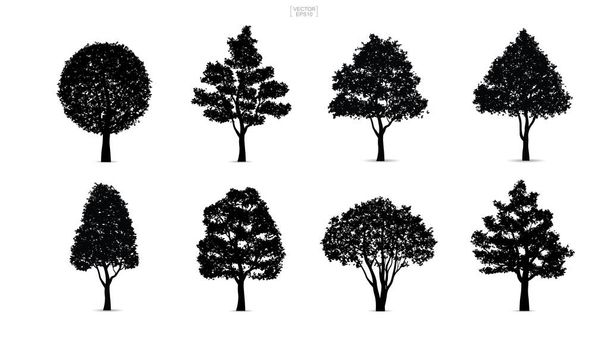Ensemble de silhouettes d'arbres isolées sur fond blanc pour la conception de paysages et de compositions architecturales avec des arrière-plans. Illustration vectorielle
. - Vecteur, image