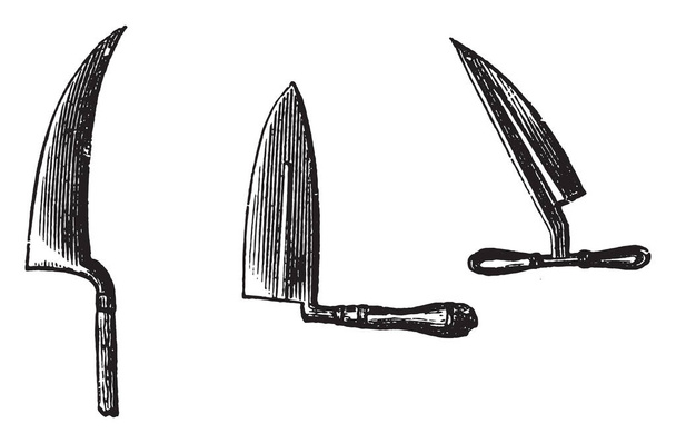 Trois sortes de truelles. From Domestic Life, gravure vintage, 1880
 - Vecteur, image