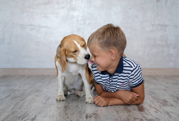 schattige Europees jongen en Beagle hond spelen op de vloer in de kamer - Foto, afbeelding