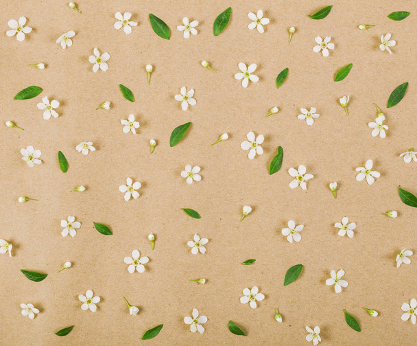 Motif floral composé de fleurs blanches printanières, de bourgeons et de feuilles vertes sur fond de papier brun. Pose plate. Vue du dessus
. - Photo, image