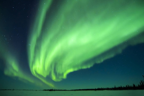 Nightsky lit up with aurora borealis, northern lights, wapusk national park, Manitoba, Canada. - Fotoğraf, Görsel