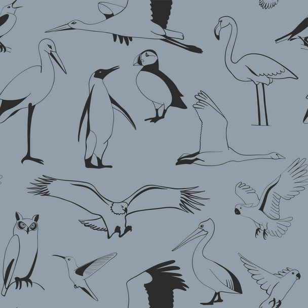 Motif sans couture oiseaux dessinés à la main, vecteur
 - Vecteur, image