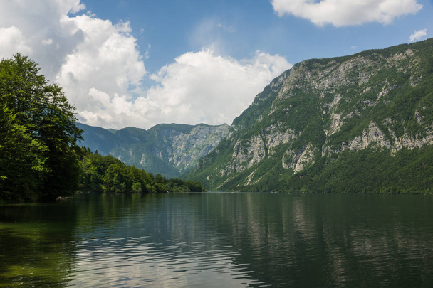Bohinjského jezera v regionu Julské Alpy, Triglav National Park, Slovinsko - Fotografie, Obrázek