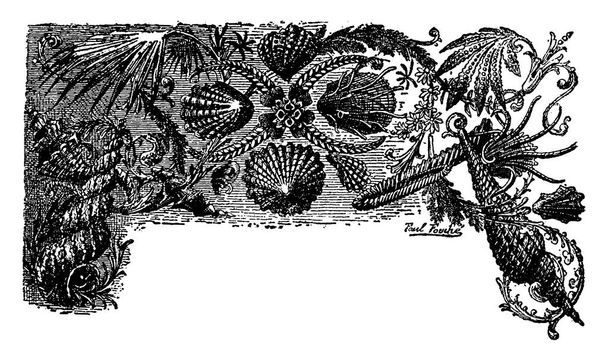 Disegno della pagina del capitolo per il periodo Cretaceo. Dal mondo prima dell'uomo, incisione vintage, 1880
 - Vettoriali, immagini