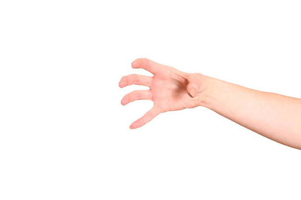 Empty open hand isolated on white background - Φωτογραφία, εικόνα