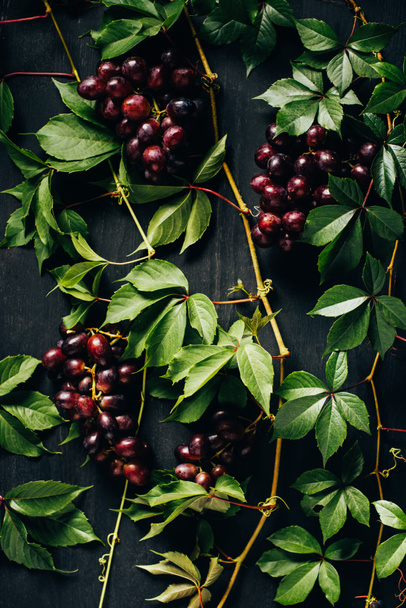olgun sulu kırmızı üzüm ve siyah ahşap yüzey üzerinde yeşil yaprakları üstten görünüm - Fotoğraf, Görsel